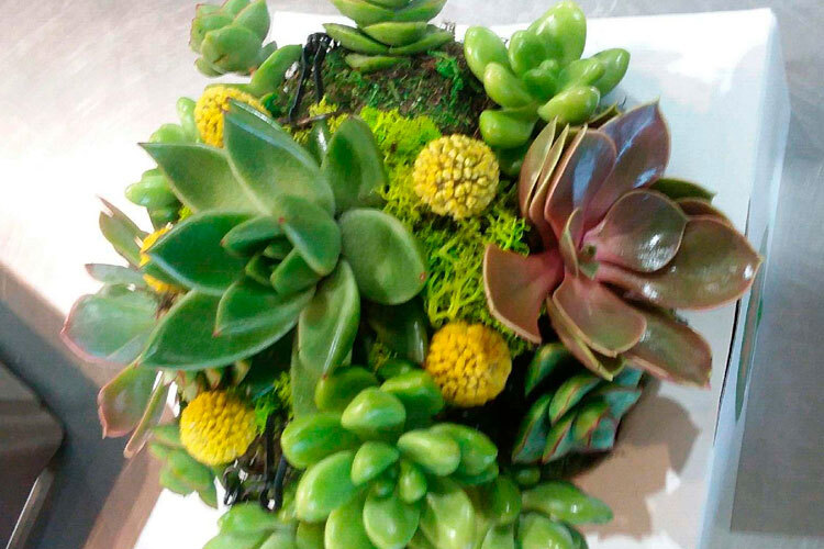 Wine & Design: Kokedama Succulent Ball