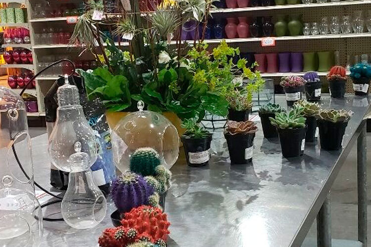 Greenhouse Open House & Build Your Own Terrarium Class