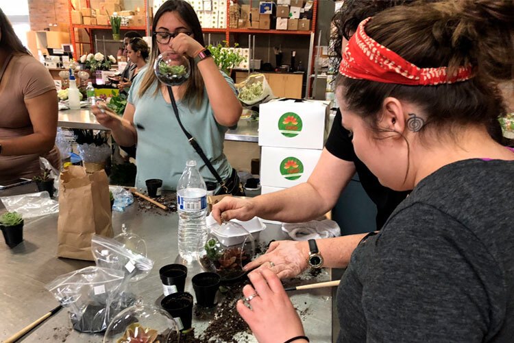 Greenhouse Open House & Build Your Own Terrarium Class