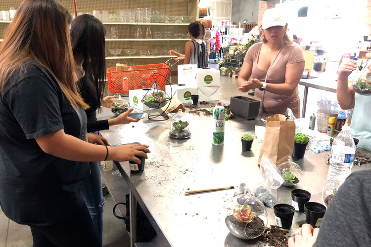 Greenhouse Open House & Build Your Own Terrarium Class