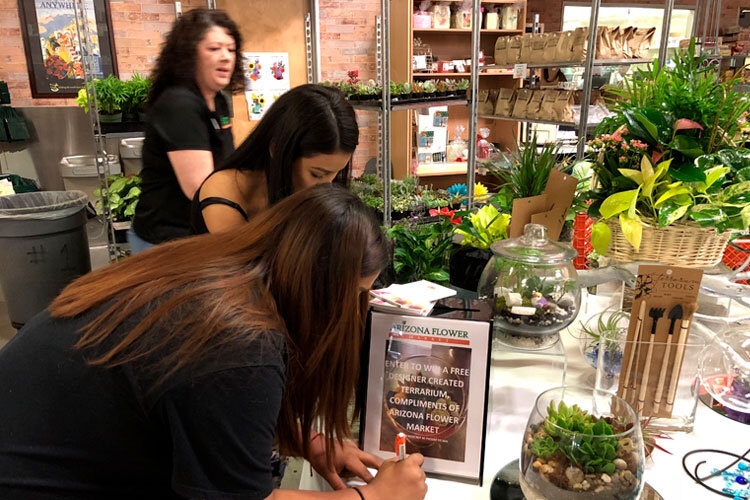 Greenhouse Open House & Build Your Own Terrarium Class