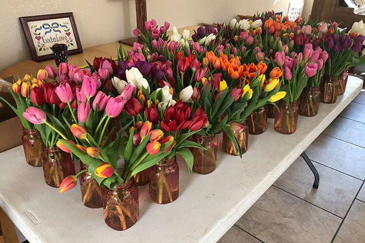 UMOM Tulip Sale/Donation Drive