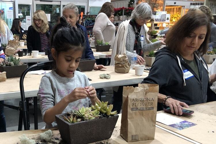 Succulent Dish Garden Design Class Recap