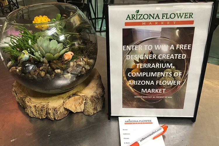 DIY Terrarium Open House