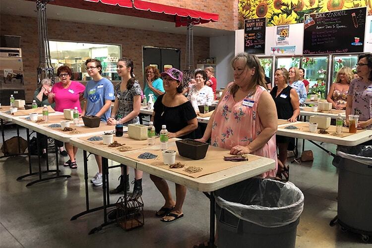 Succulent Dish Garden Design Class