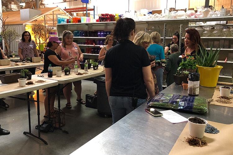 Succulent Dish Garden Design Class