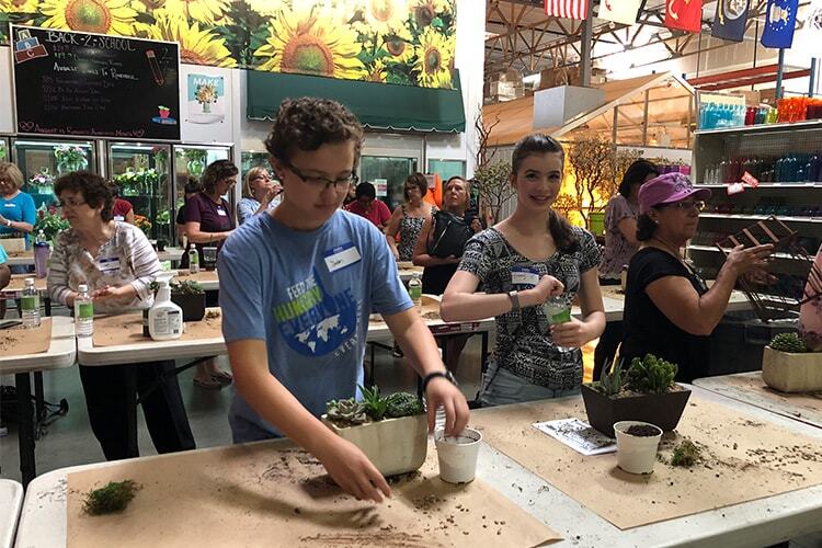 Succulent Dish Garden Design Class